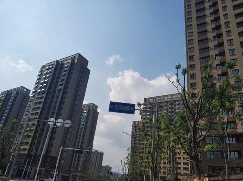 秒殺一眾商品房 南京這家安置房交付，實景太驚艷了